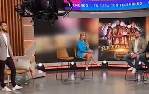 Screenshot 2022-04-25 013322